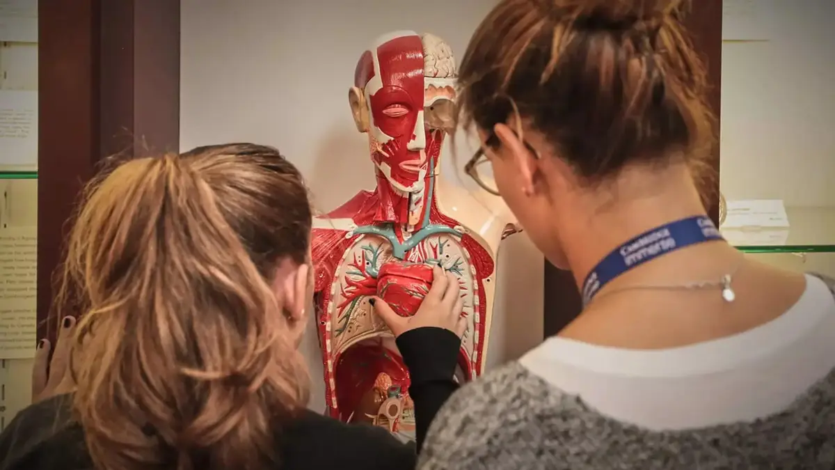 15 Medical Shadowing Opportunities for High School Students 1