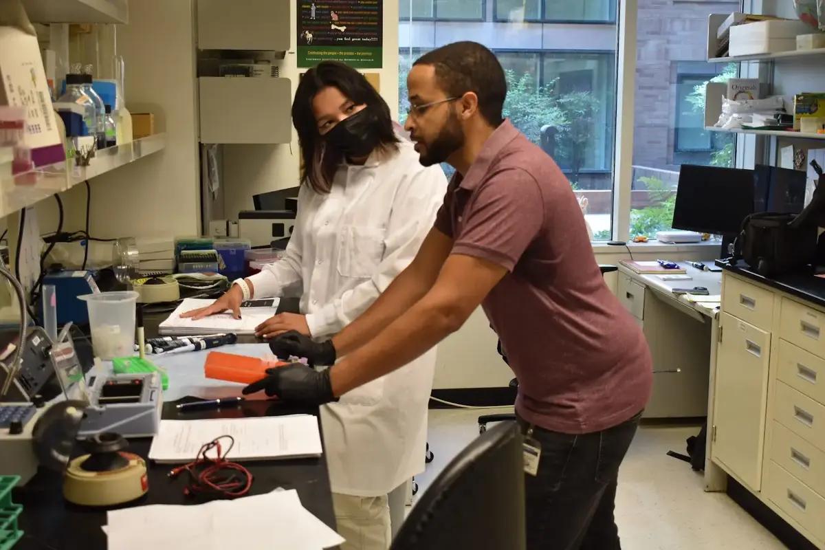 15 In Person Programs For High School Students 3