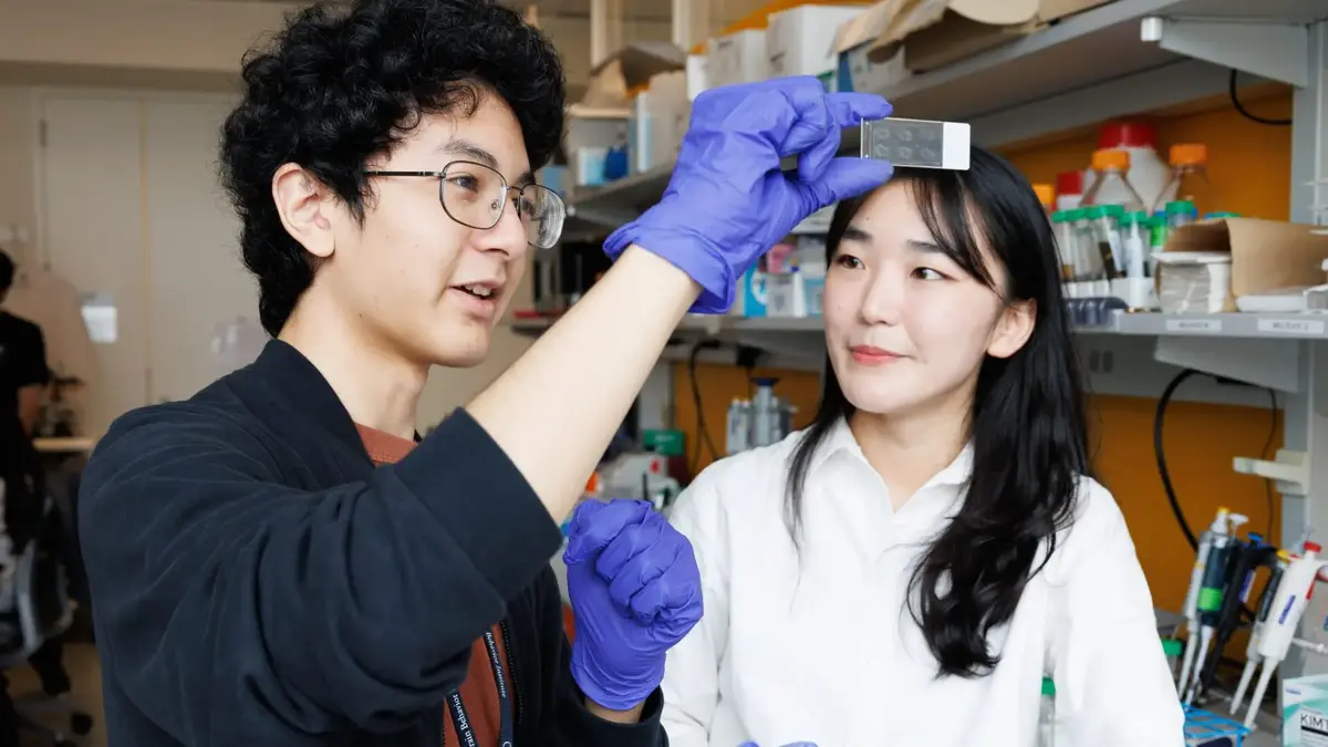 15 Free Research Programs for High School Students 2