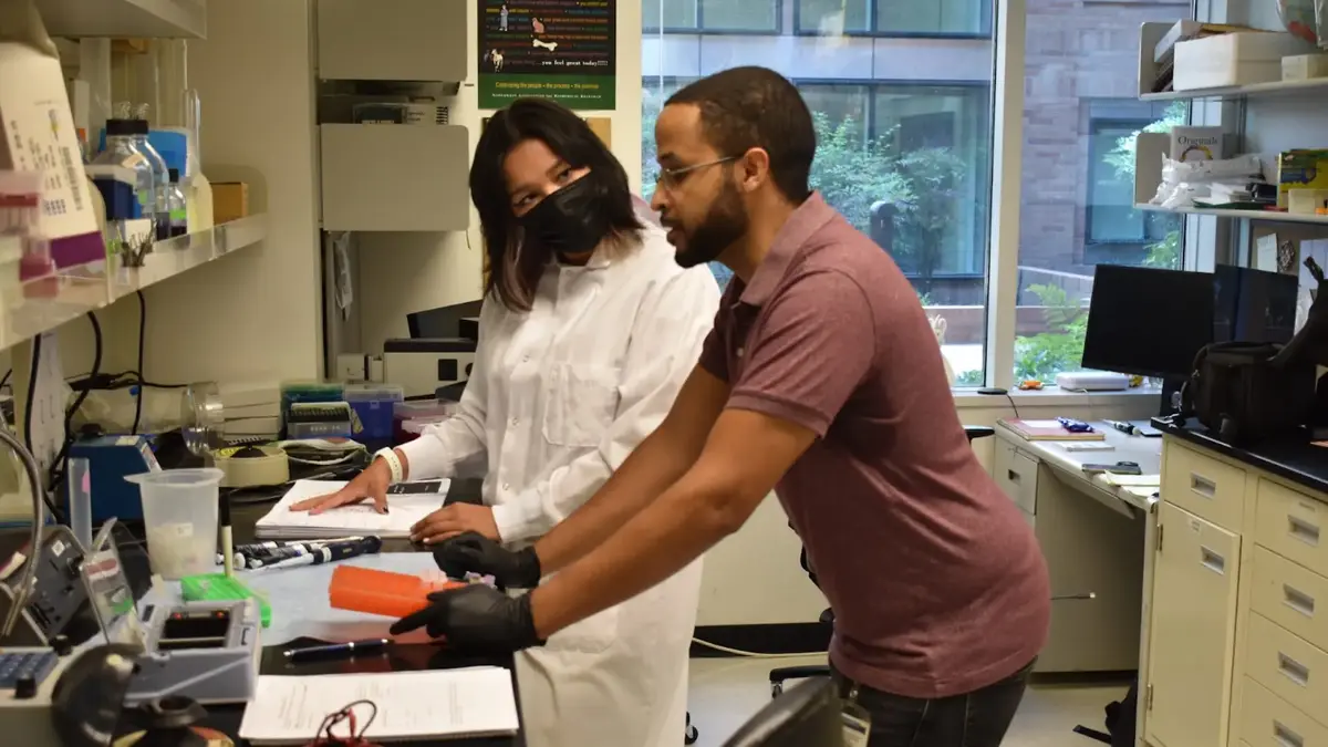 15 Biomedical Summer Programs for High School Students 3