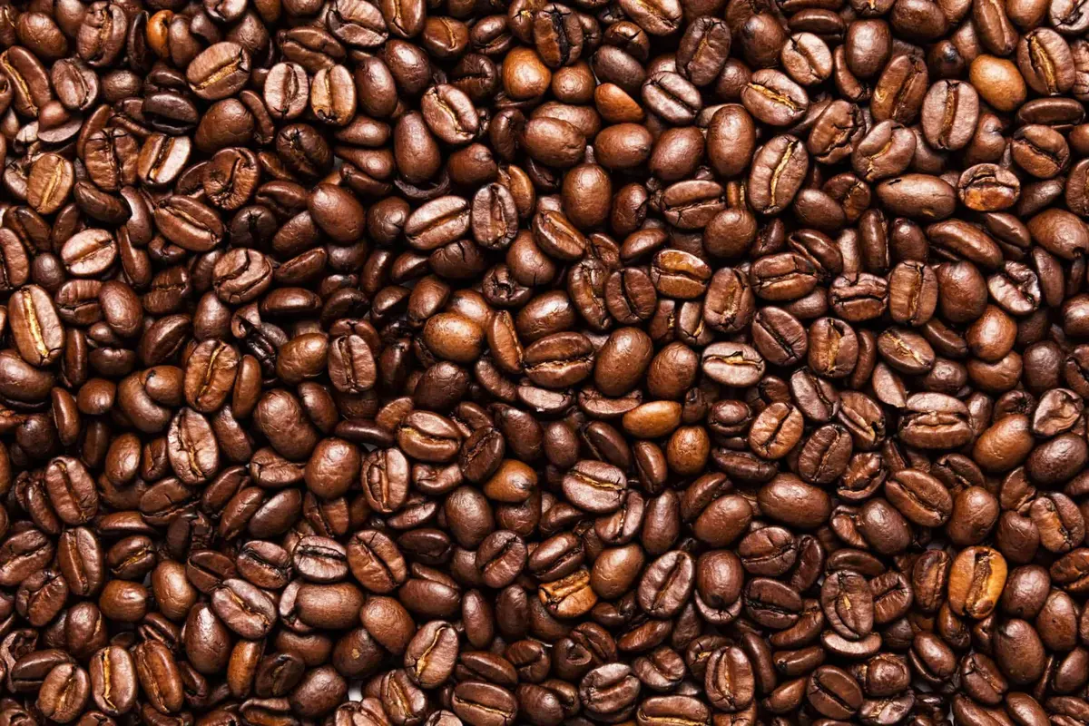 Coffee Punting and Brazilian Drums