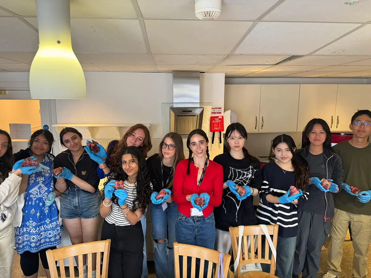 A Day in the Life: Medicine at Sidney Sussex