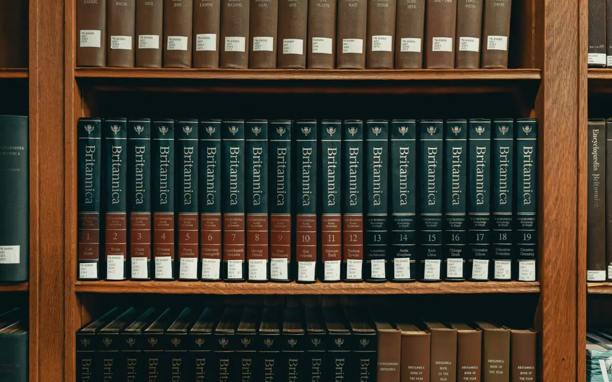 Law Work Experience
