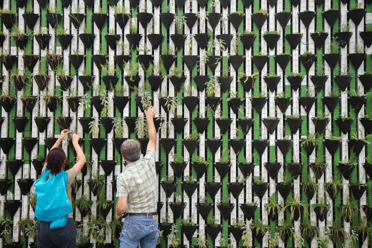 Careers in Sustainability Guide