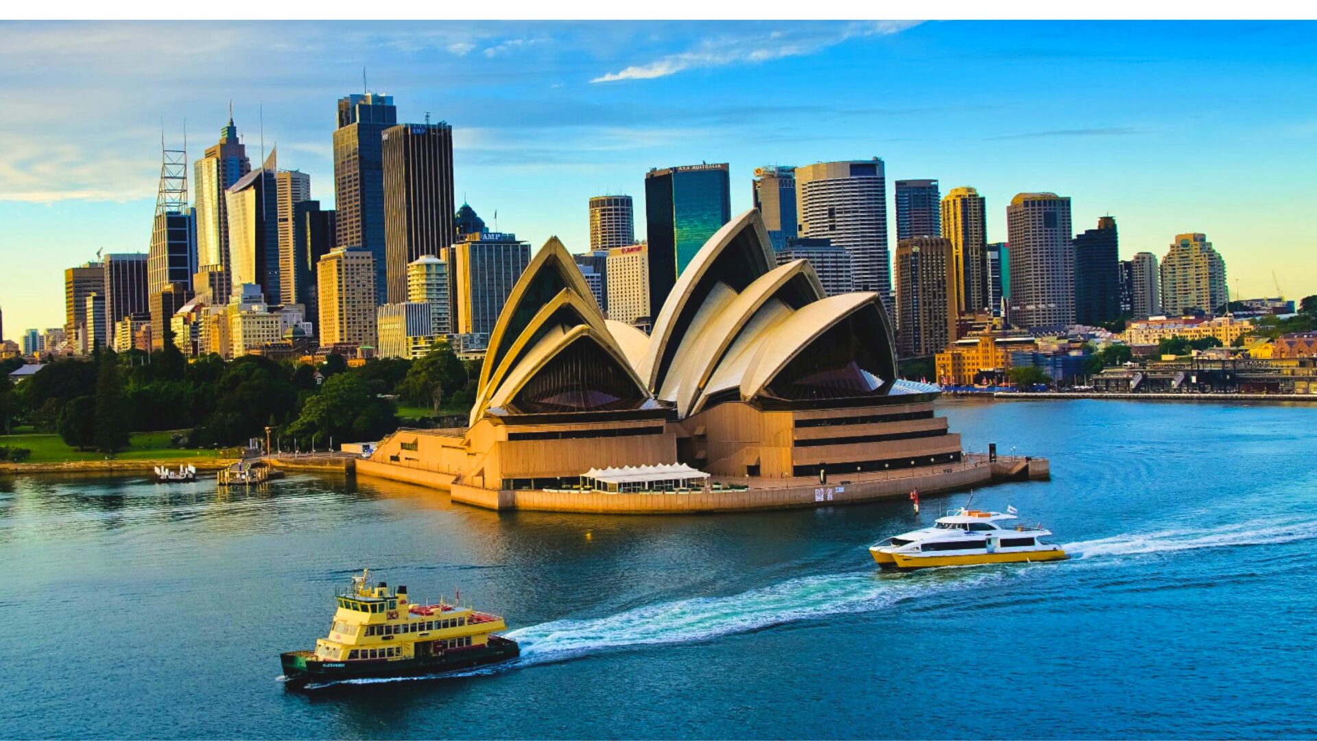 Academic vs Career Insights in Sydney: What’s the Difference?