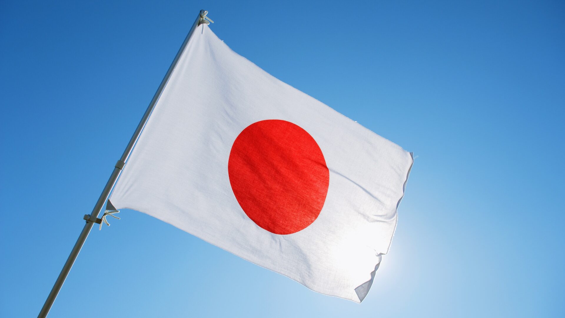 15 Summer Camps in Japan for High School Students