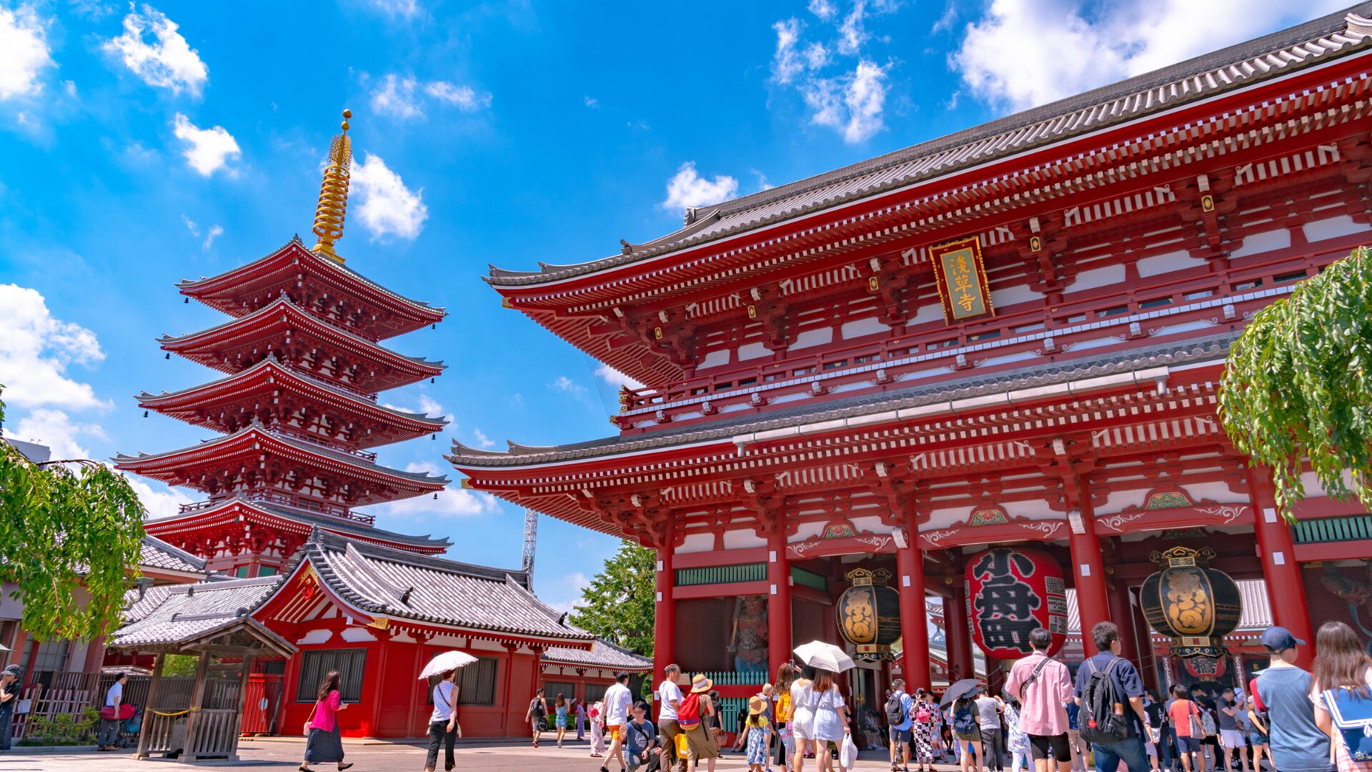 15 Summer Camps in Asia for High School Students