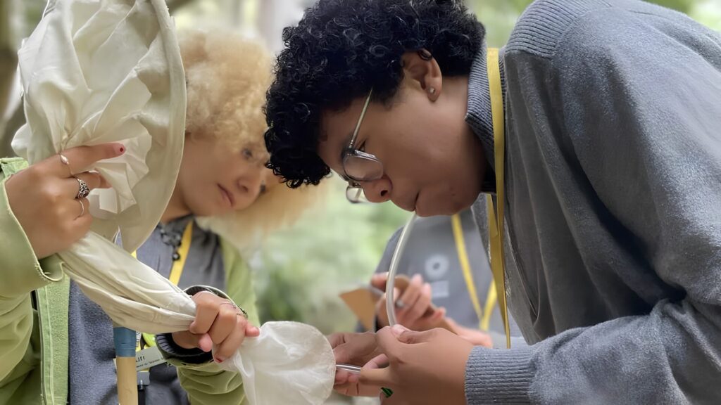 A student uses an aspirator tube to collect an insect from a net held by another participant during an outdoor field biology activity