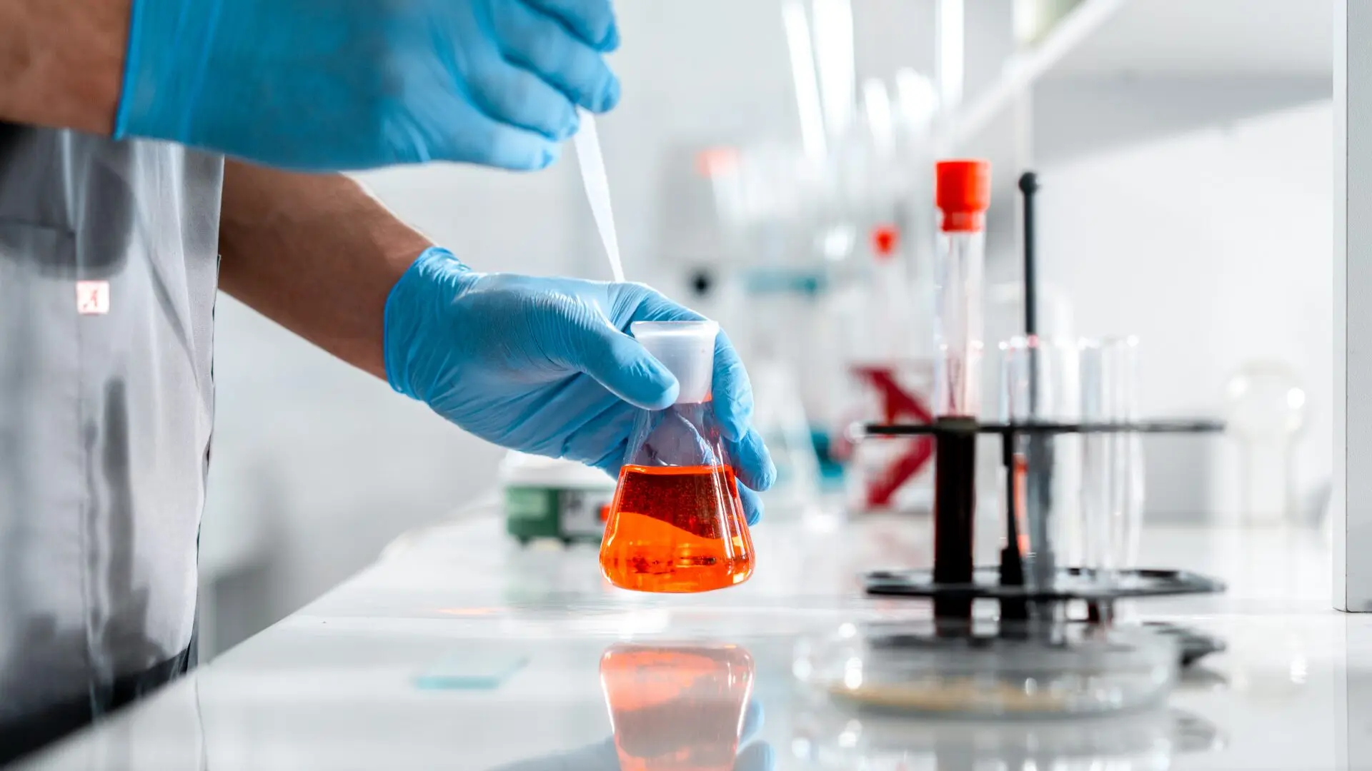 15 Biotechnology Research Programs for High School Students