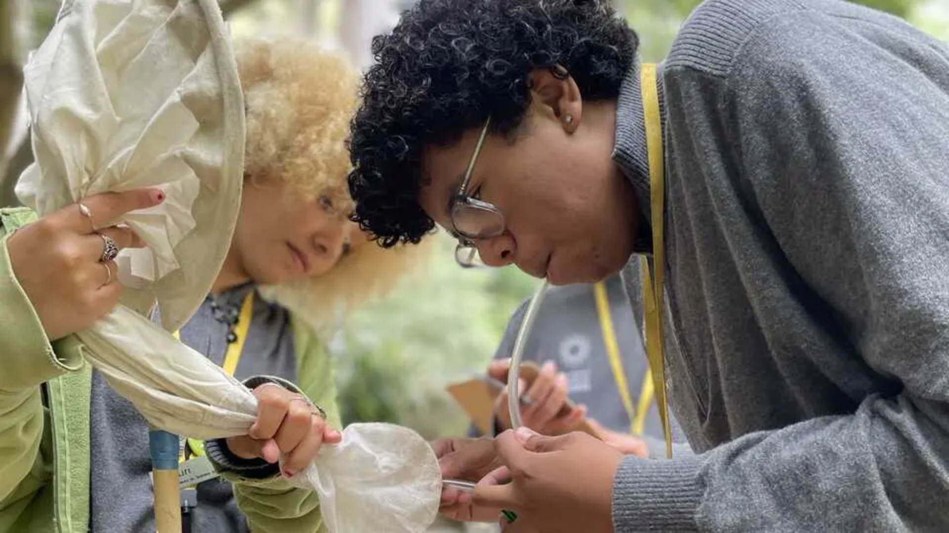 A student uses an aspirator tube to collect an insect from a net held by another participant during an outdoor field biology activity