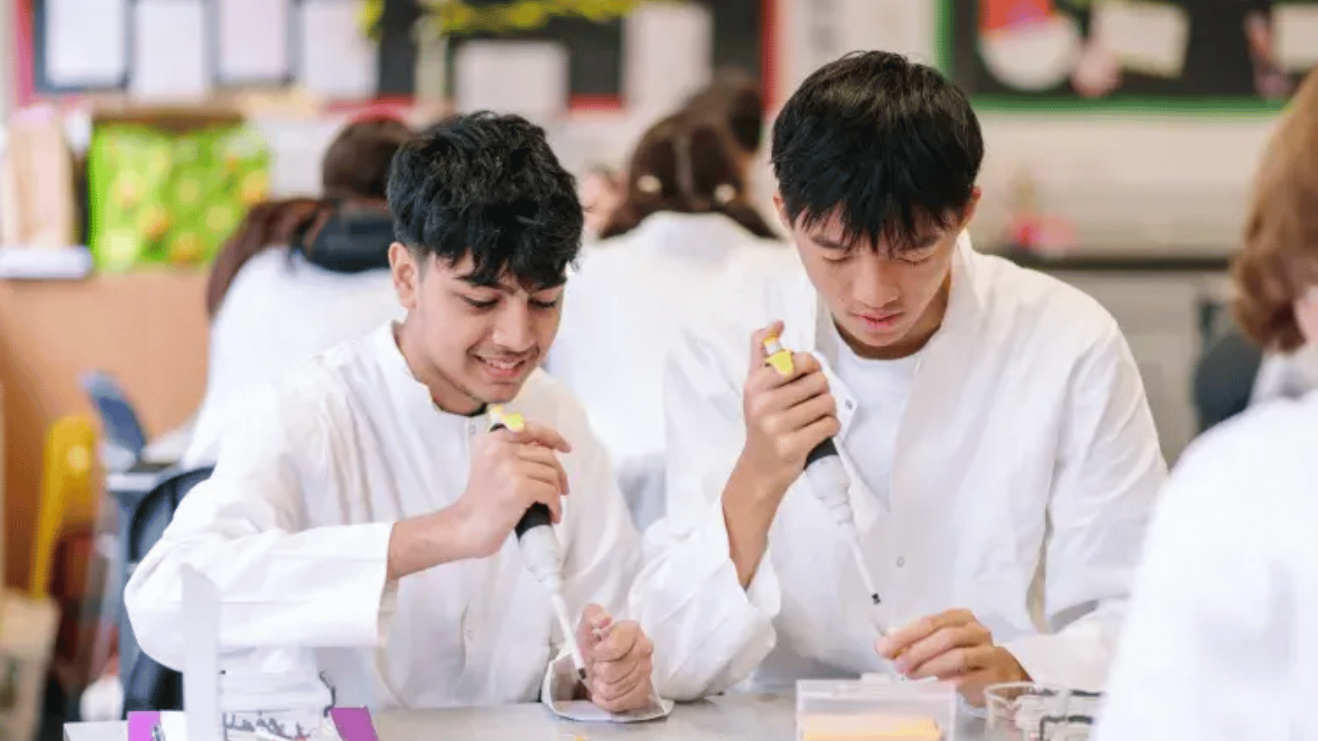 2 high school students. seated and dressed in lab coats, are performing a Biology experiment as each of them hold a long pipette-shaped lab device.