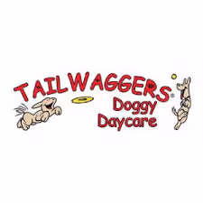 Tailwaggers Doggy Daycare