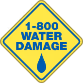 1-800 Water Damage