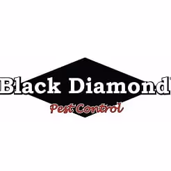 Black Diamond