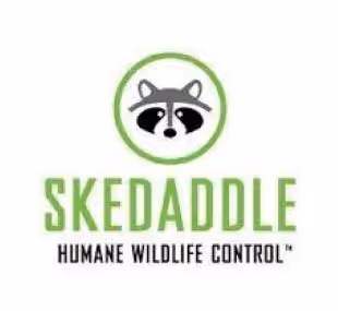 Skedaddle