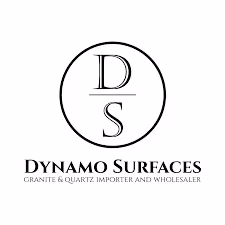 Dynamo Surfaces