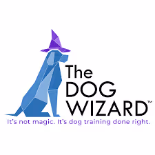 The Dog Wizard
