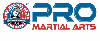 Pro Martial Arts