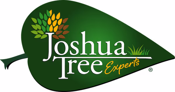 Joshua Tree