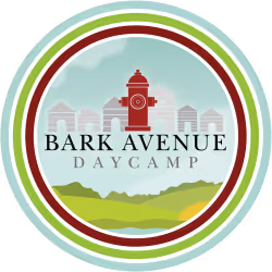 Bark Avenue Day Camp