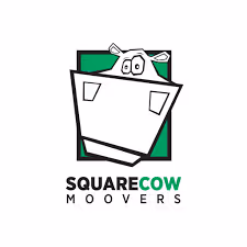Square Cow