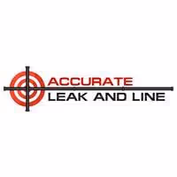 Accurate Leak and Line