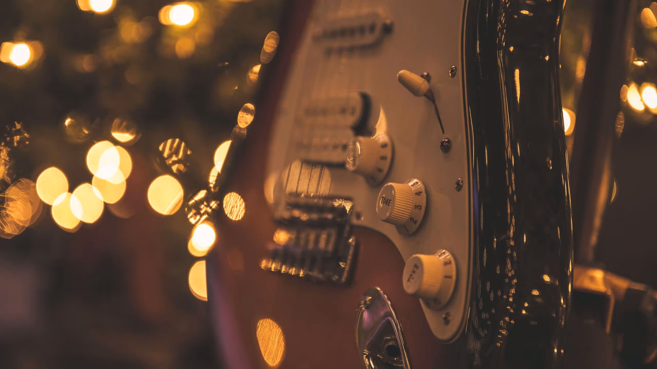 ttm guitar