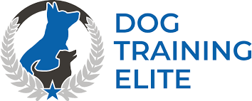 Elite Dog Trainers Near You. DTE