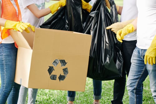 Adults Cleaning Up Trash in a Green Space