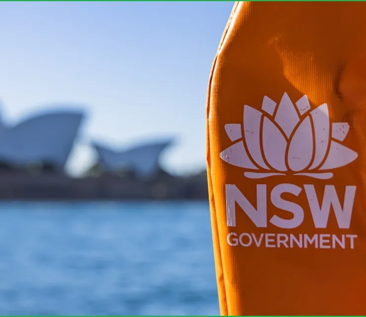 Image of NSW government