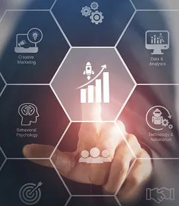 Stats of any ecommerce