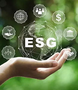 Image of esg