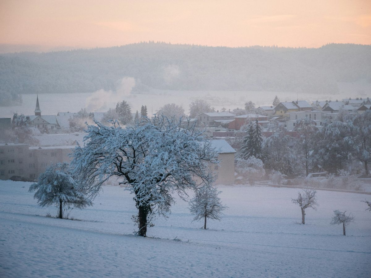Beringen landscape picture
