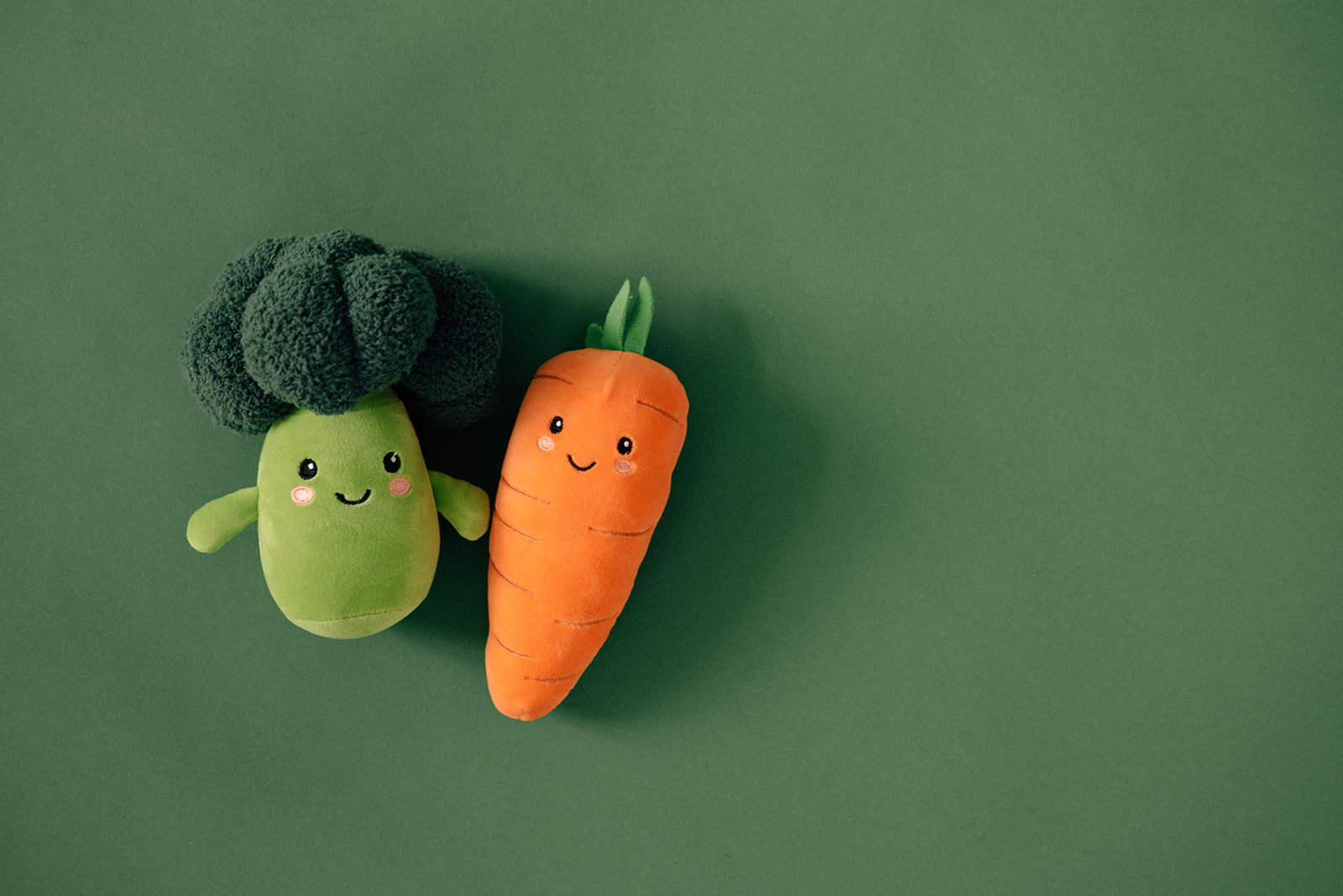 Ein Broccoli und eine Karotte aus Plüsch liegen auf grünem Boden.