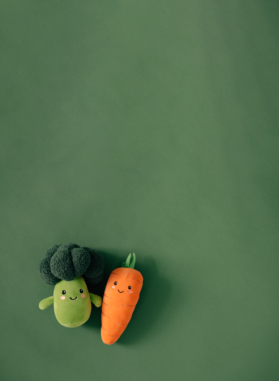 Ein Broccoli und eine Karotte aus Plüsch liegen auf grünem Boden.