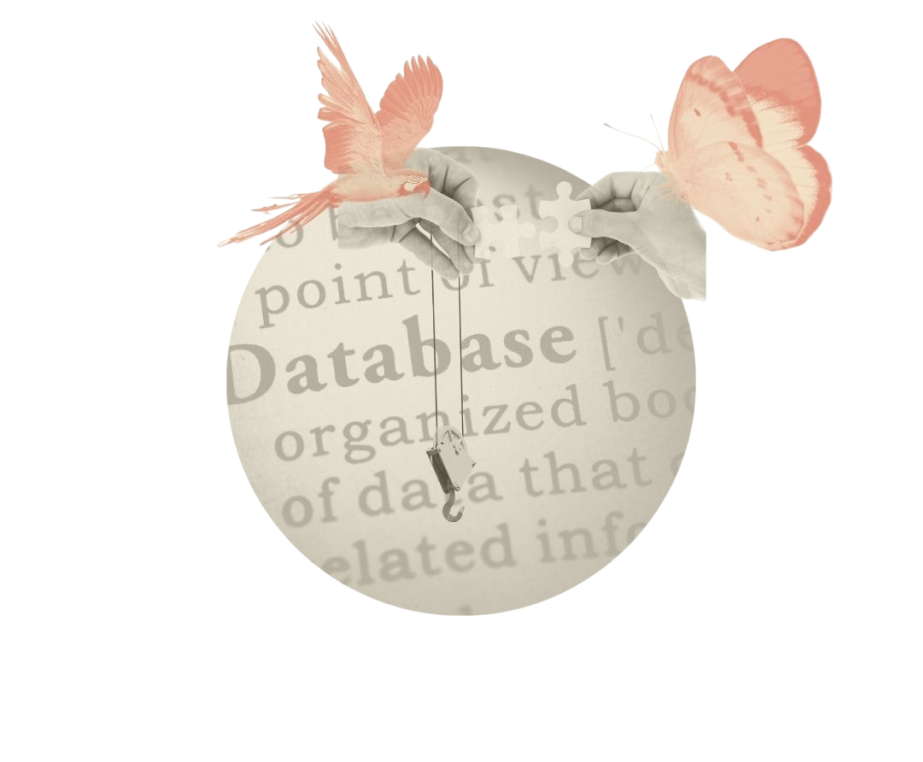Une image illustrant l'accompagnement sur mesure dans le cadre de prestations d'outils no-code.