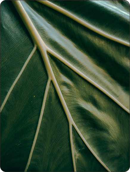 image of a community event hosted by an insurance agency & company