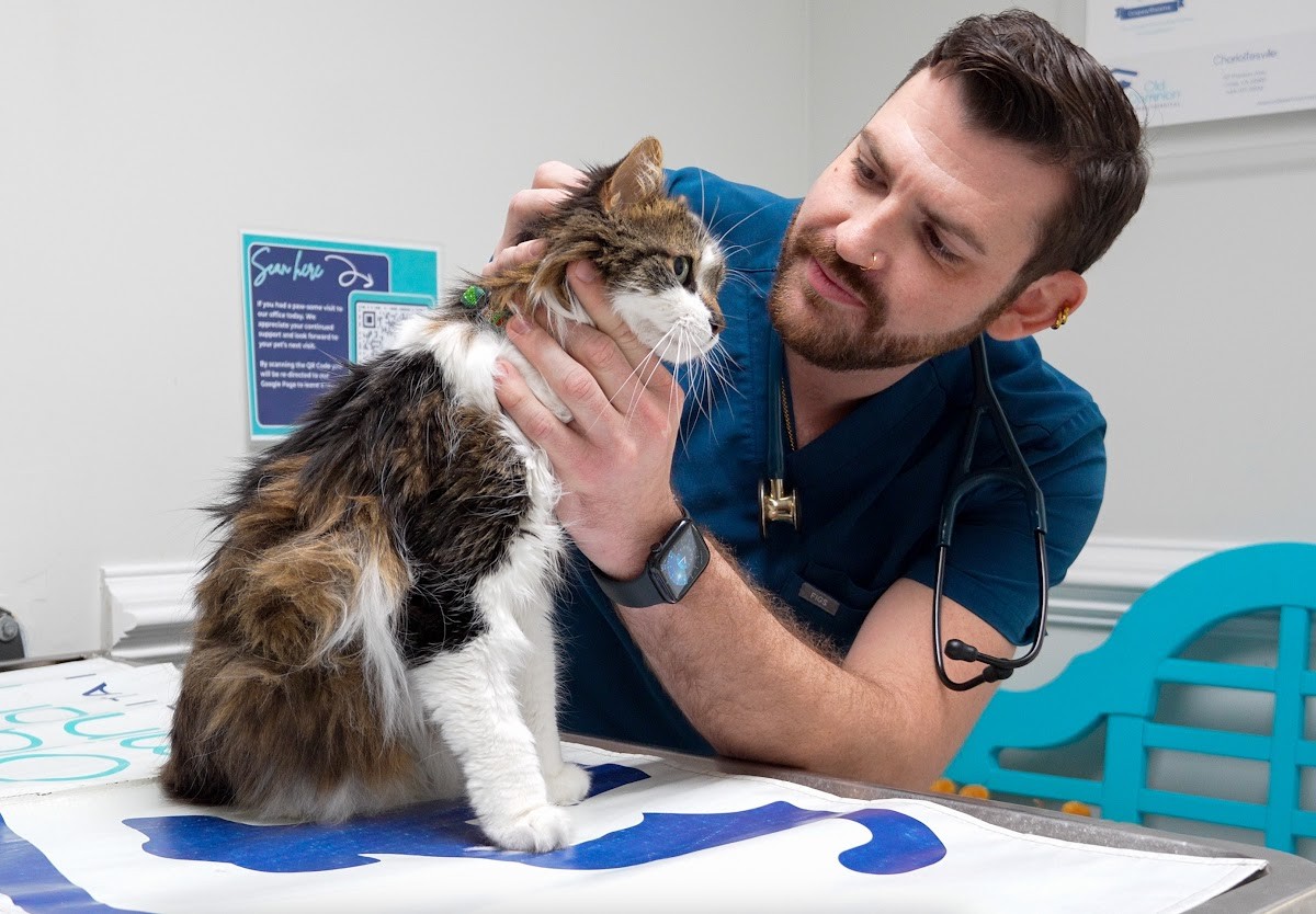 Dr. Sirk examining a patient