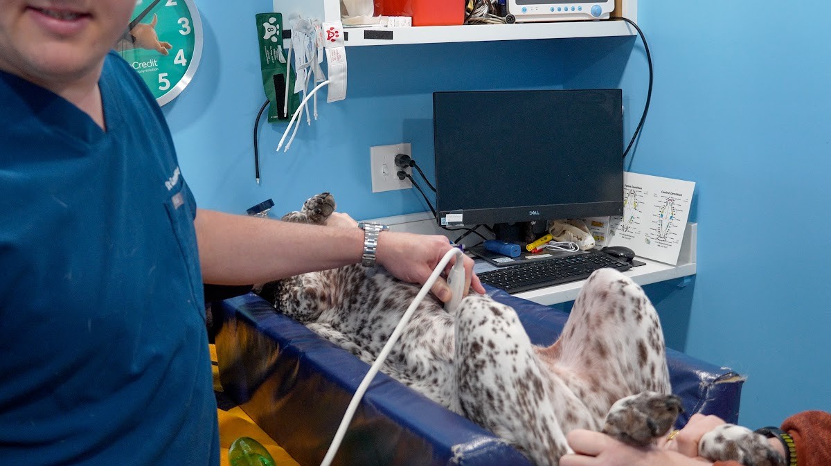 Ultrasound diagnostics