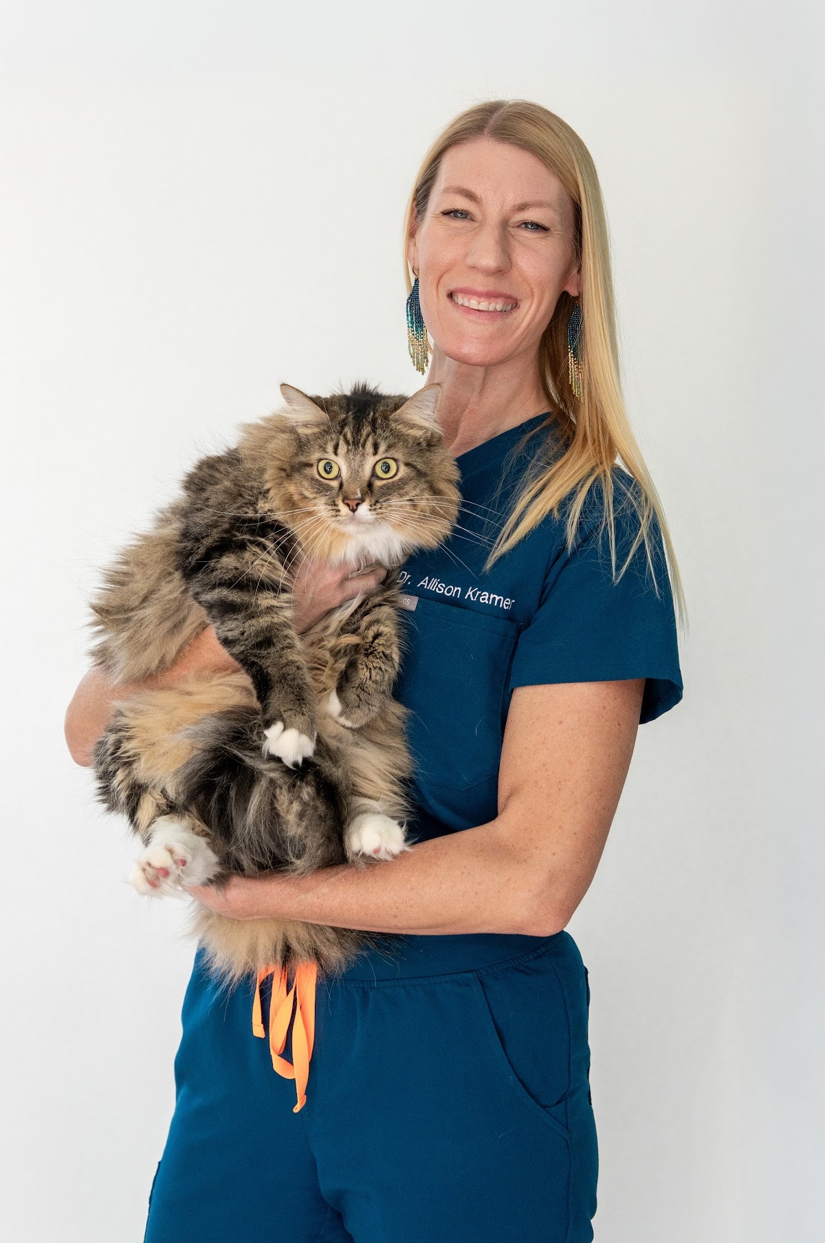 Dr. Kramer with a feline dental patient