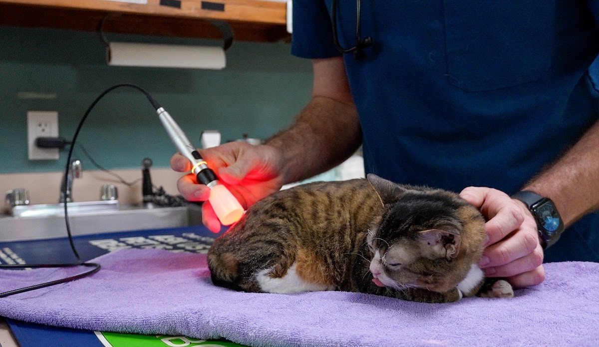Surgical laser treatment