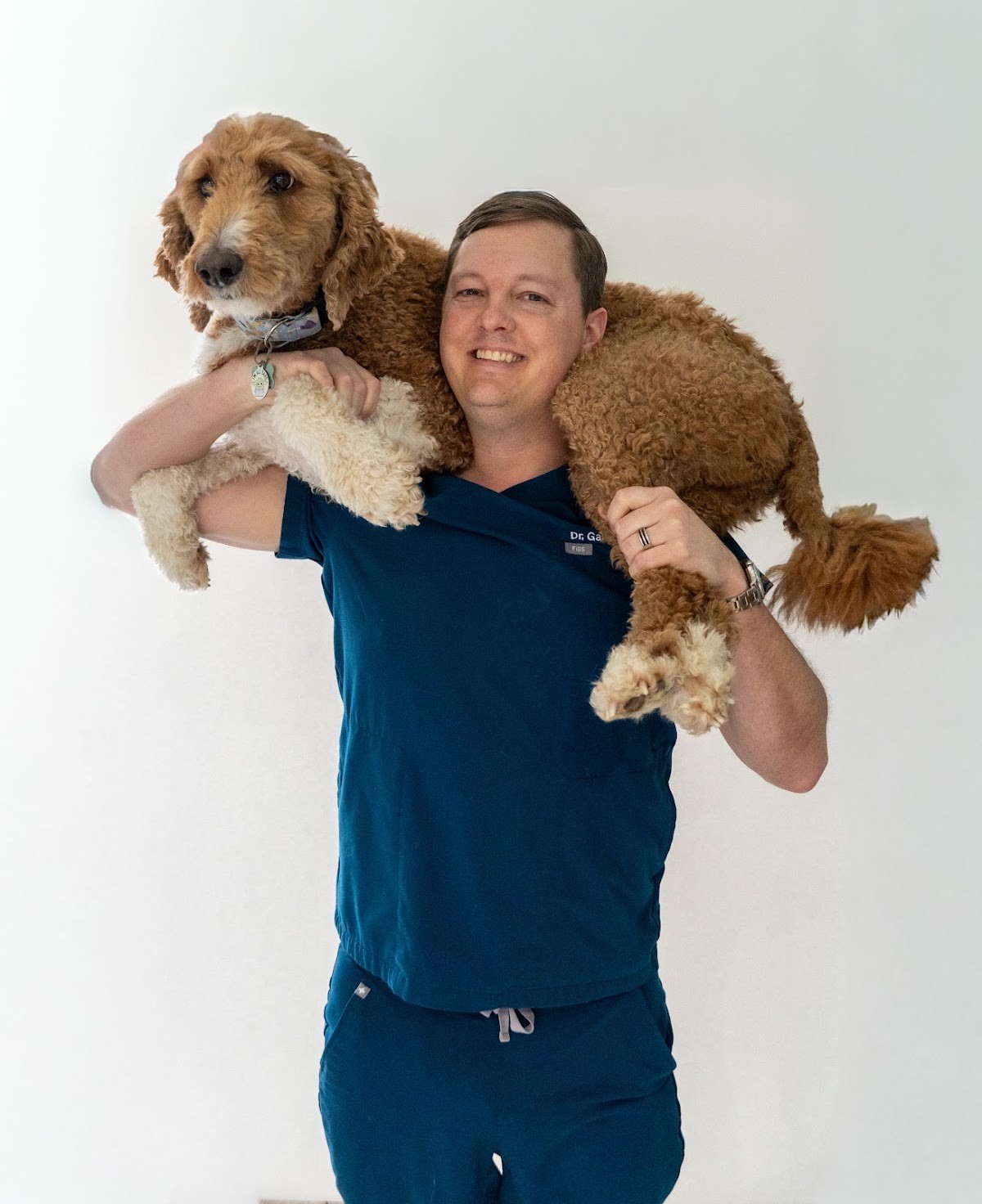 Dr. Wood with a senior dog