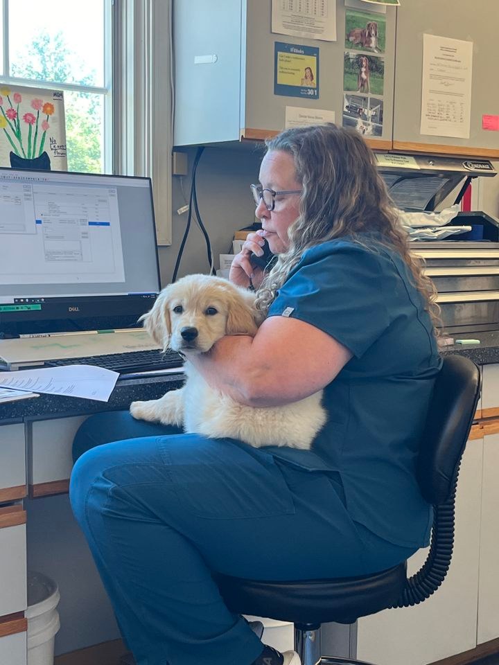 Examining an exotic patient