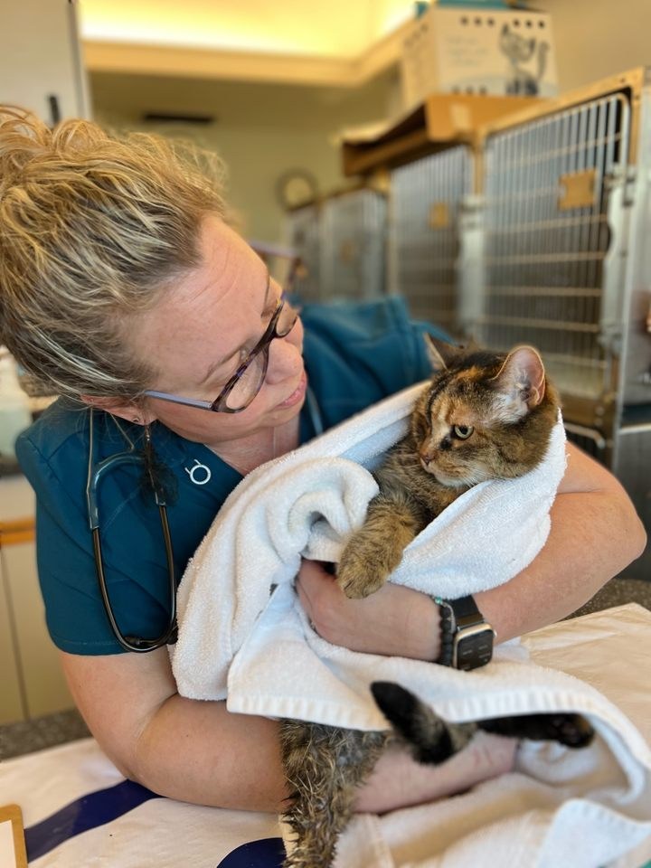 With the Crozet team