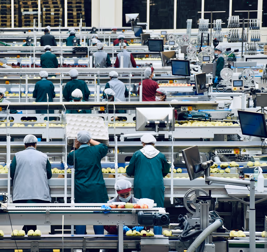 On voit beaucoup de personne. C'est une chaîne de production.