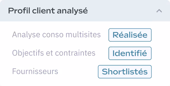 Affichage de l'analyse du profil client, mettant en évidence les tâches accomplies : analyse de la consommation, objectifs identifiés et fournisseurs présélectionnés.
