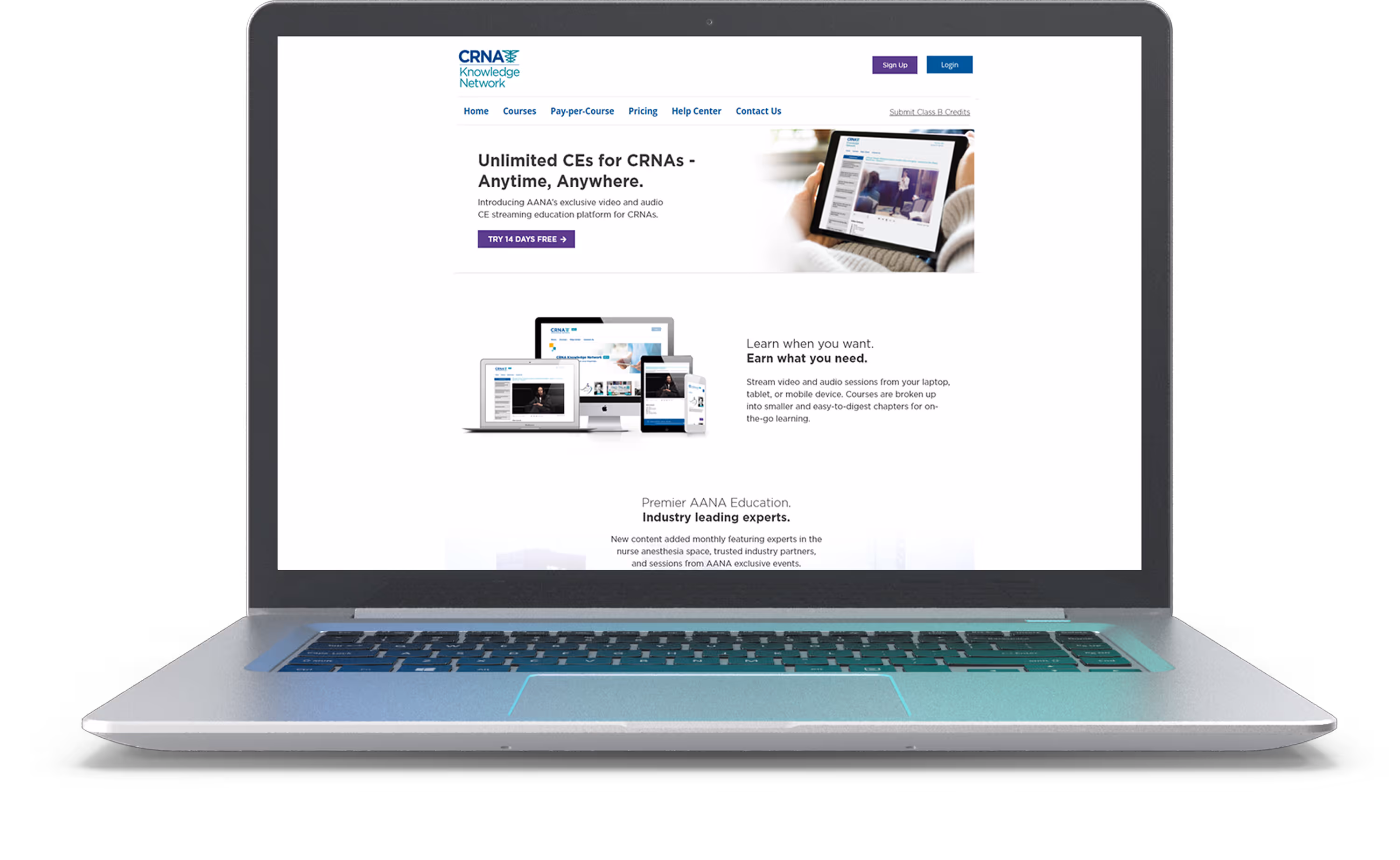 Mockup of a nurse ce website