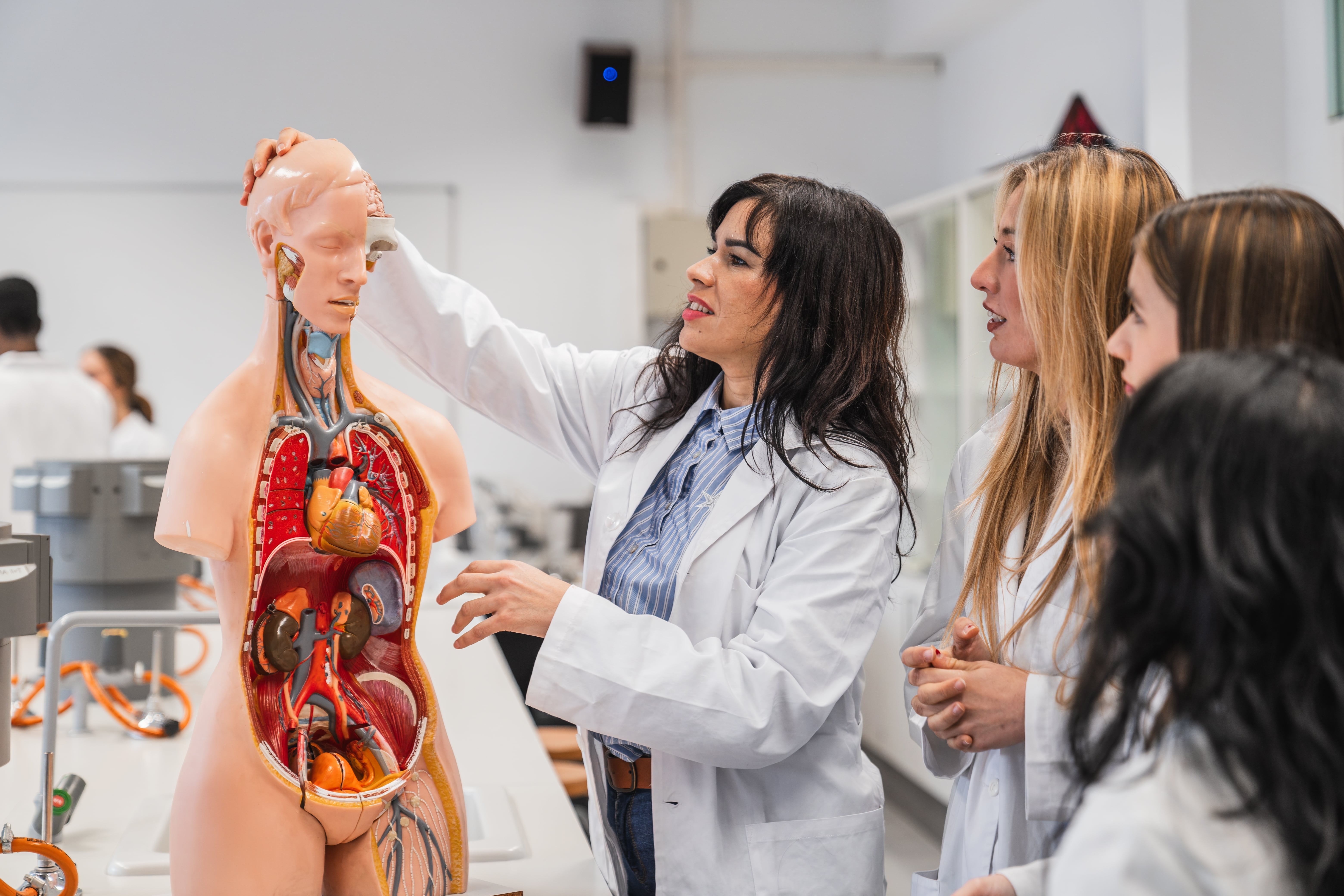 Get guidance on the application, exams, and credentials you need to start or advance your teaching career in New York.