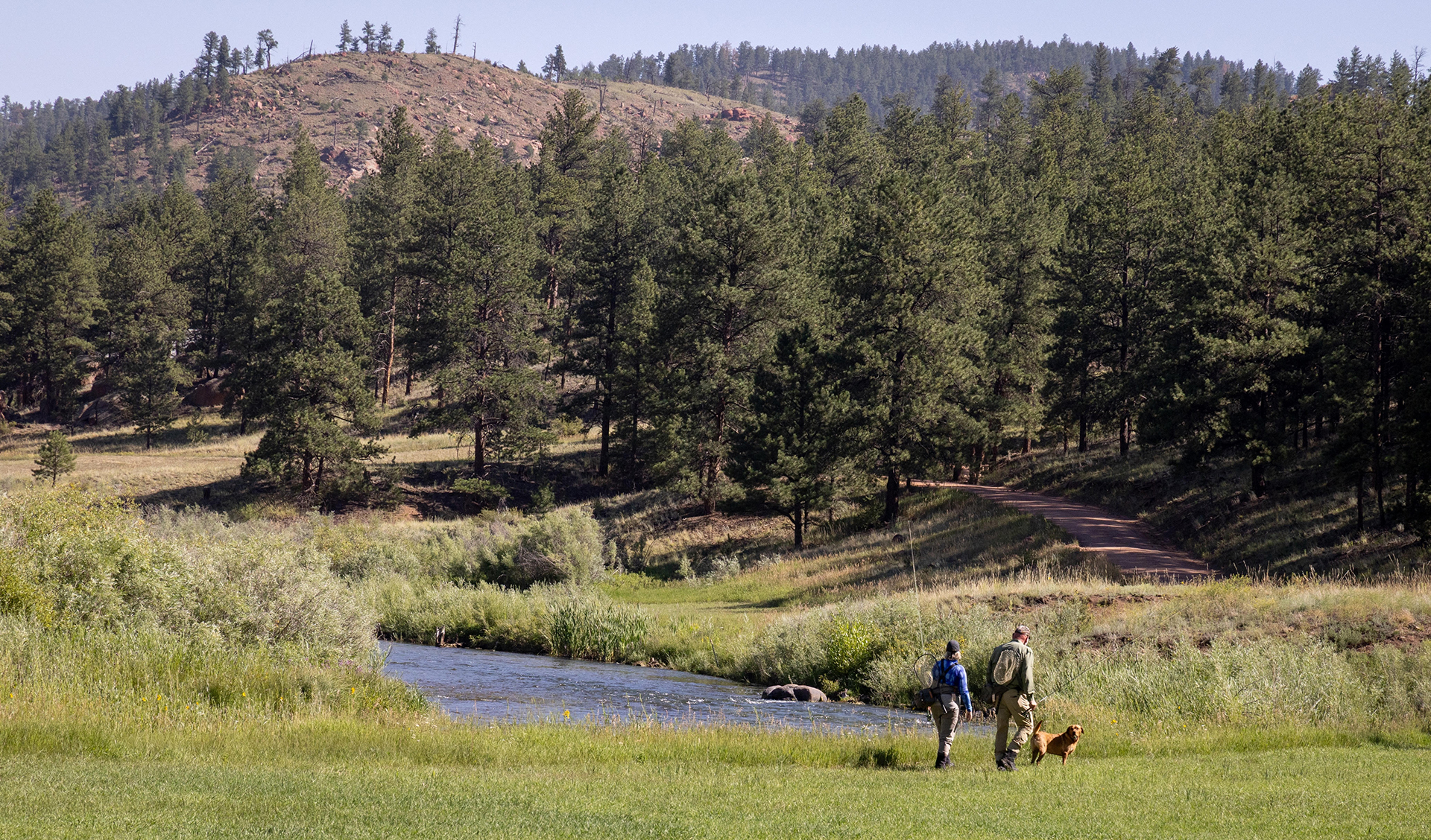 image of awards and recognition (for a japanese restaurant)