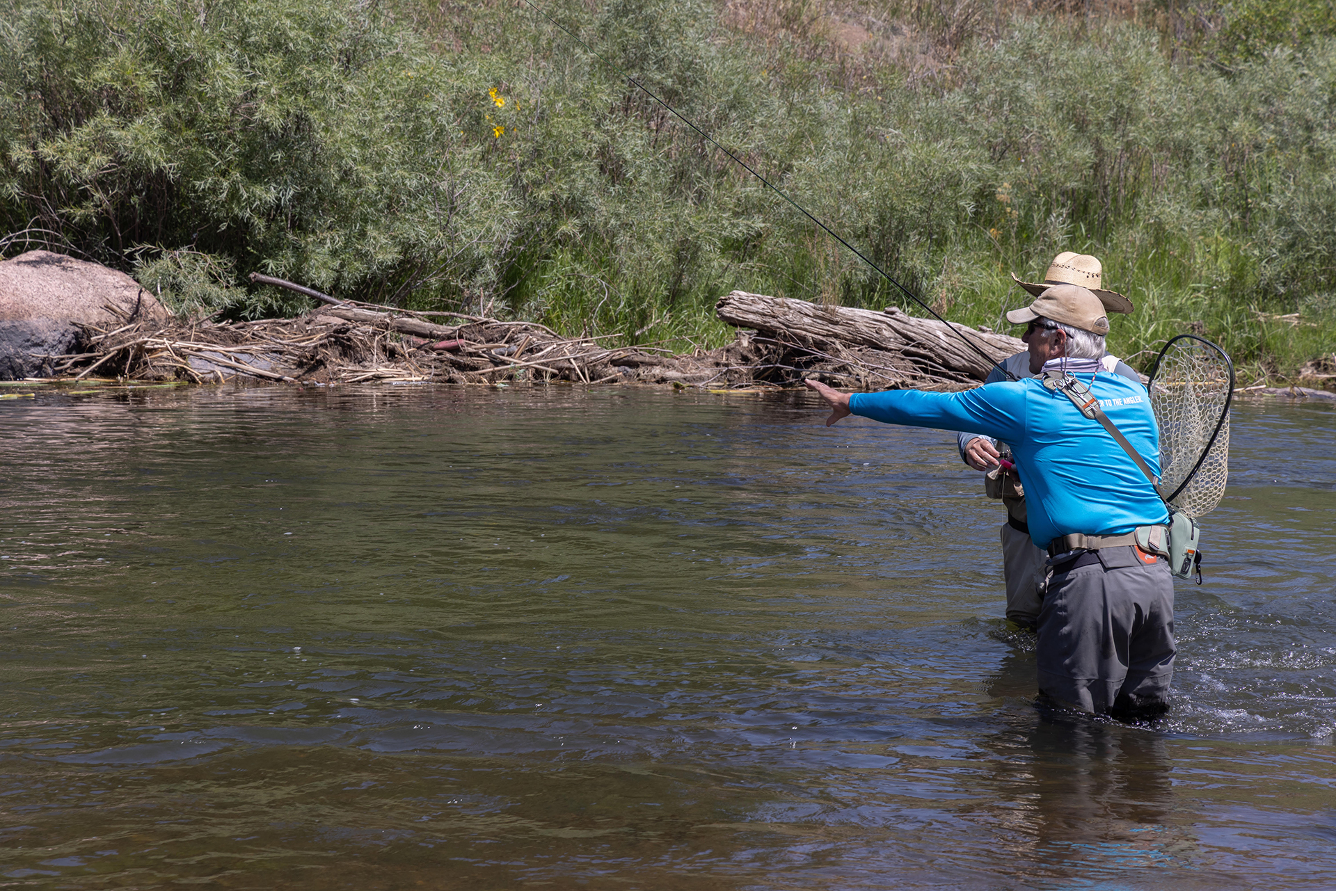 image of festivals (for a craft brewer)